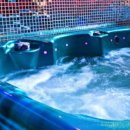 가평더뮤즈펜션 이미지