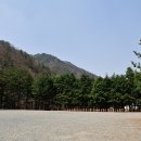도원오토 이미지
