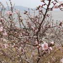 하리마을회관 이미지