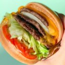 마포-상암-마포-6244 이미지