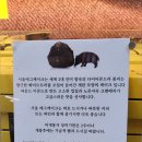 케이크.봉시