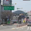 홍천시민온누리약국 네이버블로그