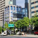 [강남/청담] 수정에스테틱청담: 청담동체형관리 테라노바 하체 관리 솔직 후기