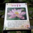 순천-67호 이미지