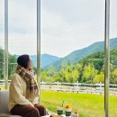 우정목장 | 가평 양떼목장 카페 가평 수목원 가볼만한곳 추천