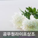 공무원상조 이미지
