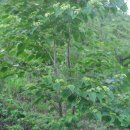 부운농장 이미지