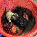 경남상회 이미지