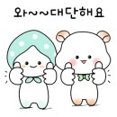 비엘케어