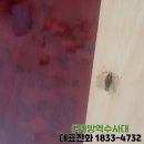 (주)방역수사대