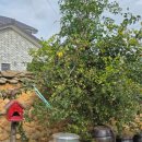 곡성 돌담집 이미지