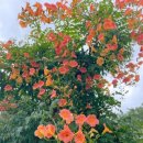 아름미한의원 이미지