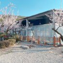 살구꽃가든 이미지