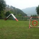 도그피아 이미지