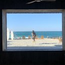 어반정글그레이밤부 | 제주도 여행 함덕카페 어반정글그레이밤부 내돈내산 후기