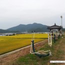 가온조구