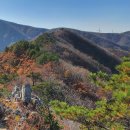 11/19[일]대관령 숲길_성스러운 옛길코스(제왕산)-산행안내/좌석표 이미지