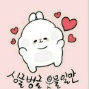 시절 인연 이미지