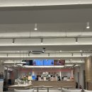 셀렉토 | 신논현역 24시 카페 l 모임하기 좋은 셀렉토커피 메뉴 후기