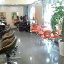 ▶MJ hair shop◀ (역삼동 르네상스사거리) 디자이너,스텝,알바 급구!!!| ─‥ 이미지