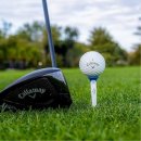 캘러웨이골프아카데미 이미지