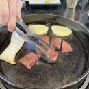 장인목장 이미지