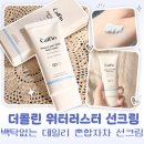 러스터 | 더콜린 워터 러스터 데일리 선크림 후기｜백탁 없는 촉촉한 혼합자차 선크림 추천