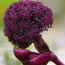 사직동약국 이미지