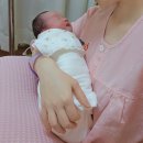 (주)이지바이오 | 초유만 먹이고 단유하는법 이지맘밀컷 단유차 솔직후기