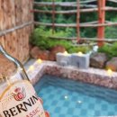 청춘풍차펜션 이미지