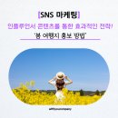 [SNS 마케팅] 위드유컴퍼니가 제안하는 효과적인 봄 여행지 홍보 방법, 여행 인플루언서 협업 콘텐츠