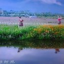 가화만사흥 이미지