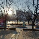 인셀덤햇살
