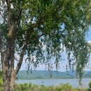 매봉골식당 이미지