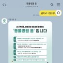 동물병원 움 이미지