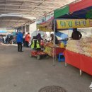 월야5일시장 대한뉴스