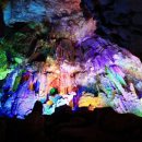 계림해물탕 이미지