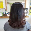 상남동242 이미지