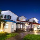 라임민박 이미지