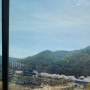 구즉묵보리밥전문점 이미지