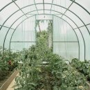 더 불리 하우스 이미지