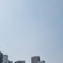 남산초교길 이미지