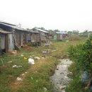 한동대학교 국제개발협력대학원 이미지