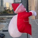 일비태권도장 이미지