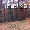 2월10일 (수) 법화산 임도걷기 이미지