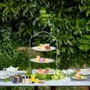 홍차 문화의 꽃 애프터눈티 이미지