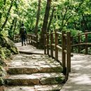 도심 속 초록빛 힐링, 북한산 구기계곡 등산코스 가이드 이미지
