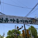 금고양이 | [방문후기] 고양이 덕후가 꼭 가야할 선유도 | 202504 야옹이마켓 | 선유도 고양이