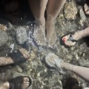 스테이우드 이미지