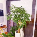 (주)신승시스템 | Bandi&#39;s cafe:카페만월경 성북동선점, D+4일째!